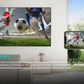 Hisense 50″ Q6N QLED 4K Smart Google TV -50Q6N